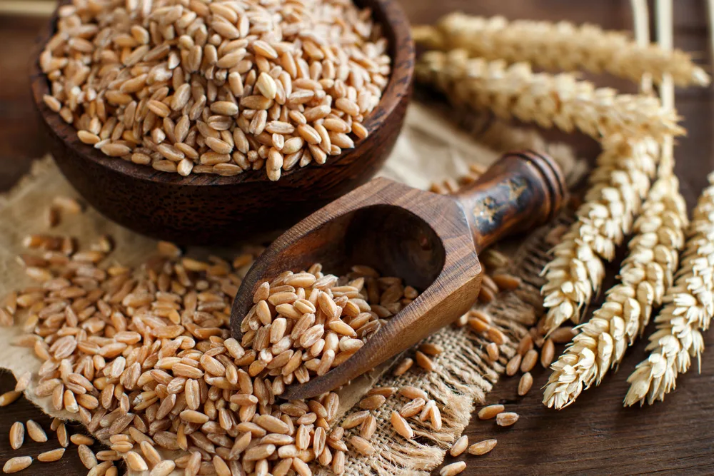 Is-farro-good-for-diabetics