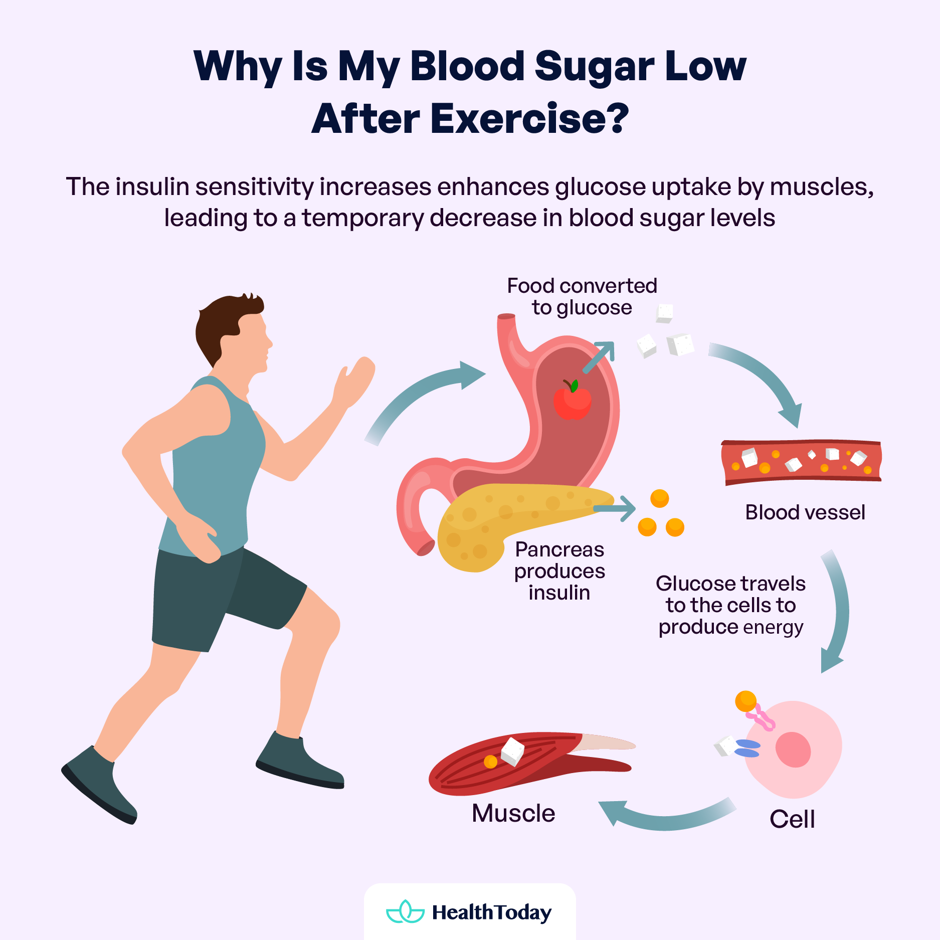 Does Exercise Raise Blood Sugar or Lower It Diabetes and Exercises 01