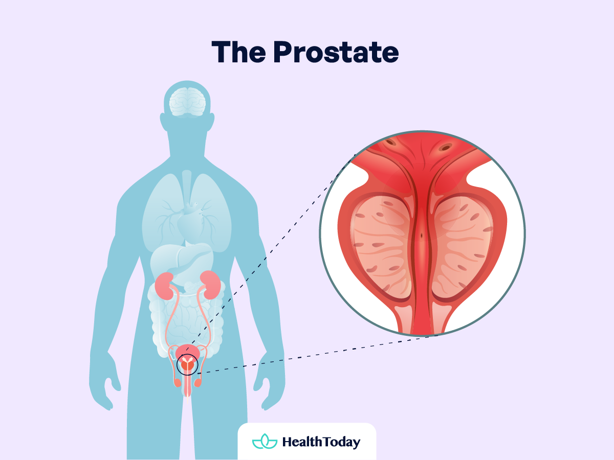 10 Foods Good for Prostate Health and Problems 01