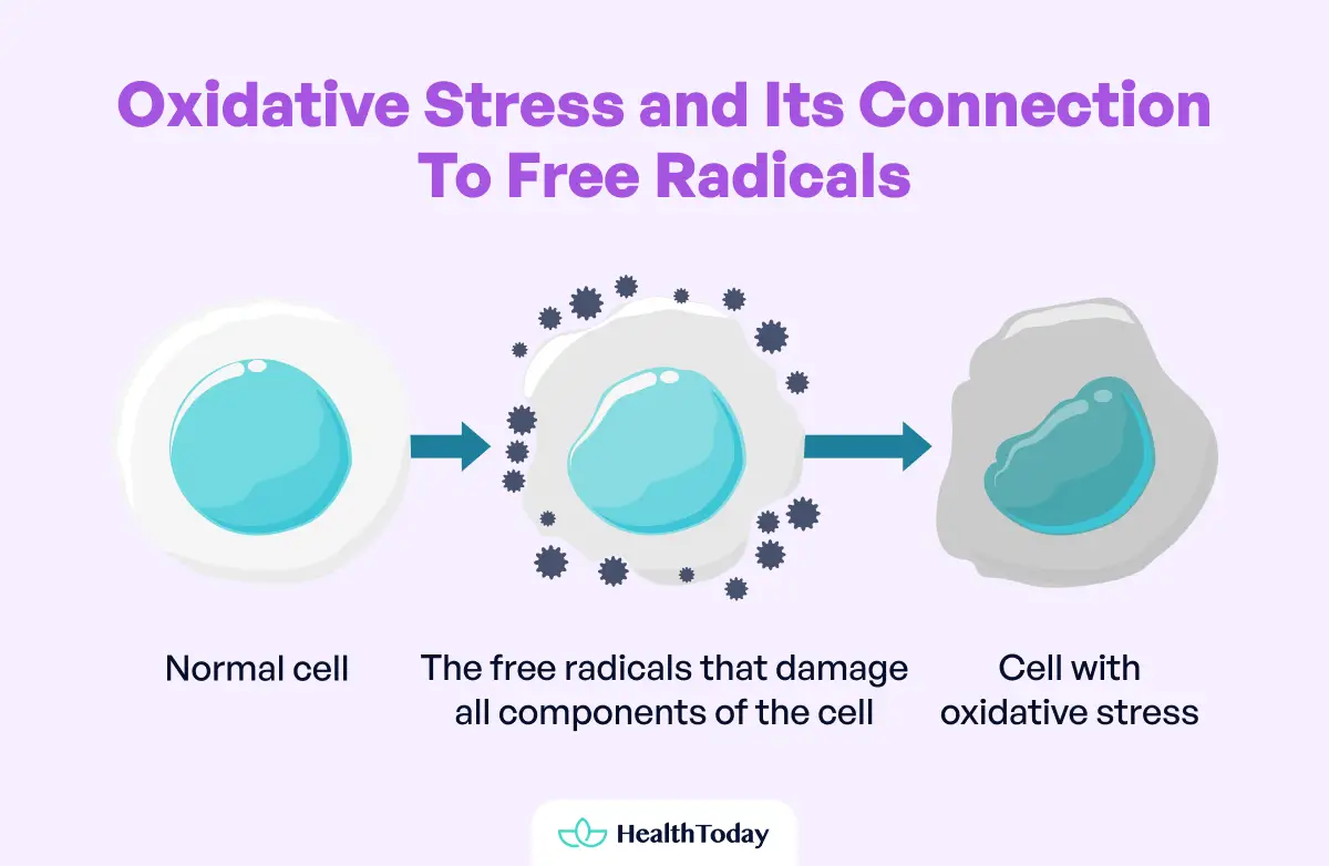 Plant Based Diets May Help Reduce Free Radicals in the Body Preventing Oxidative Stress 02 1